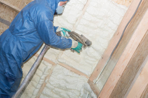 Best Spray Foam Insulation  in Downers Grove, IL